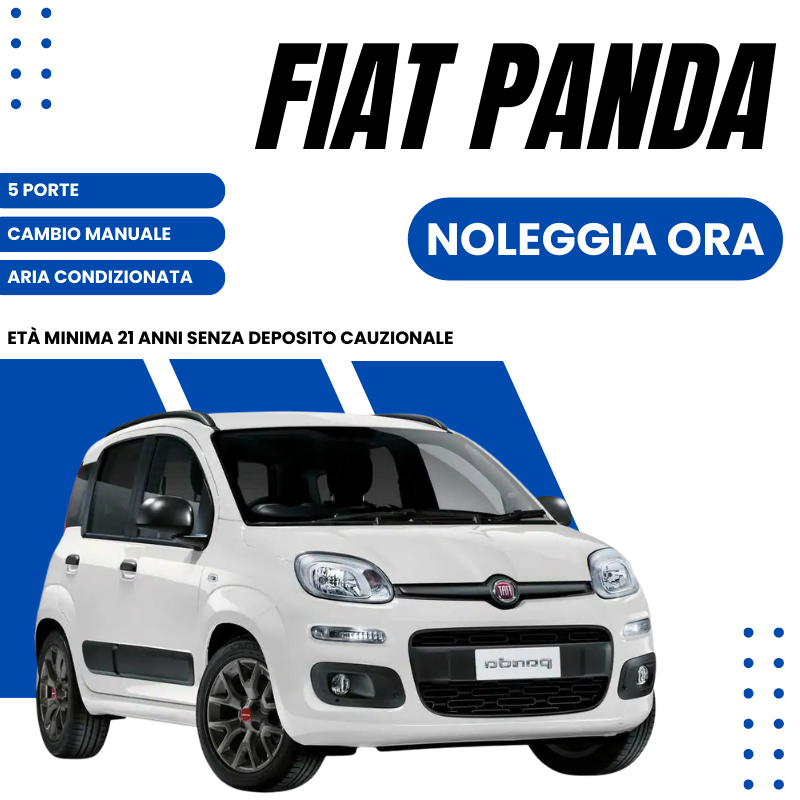 Fiat Panda Gallery Image