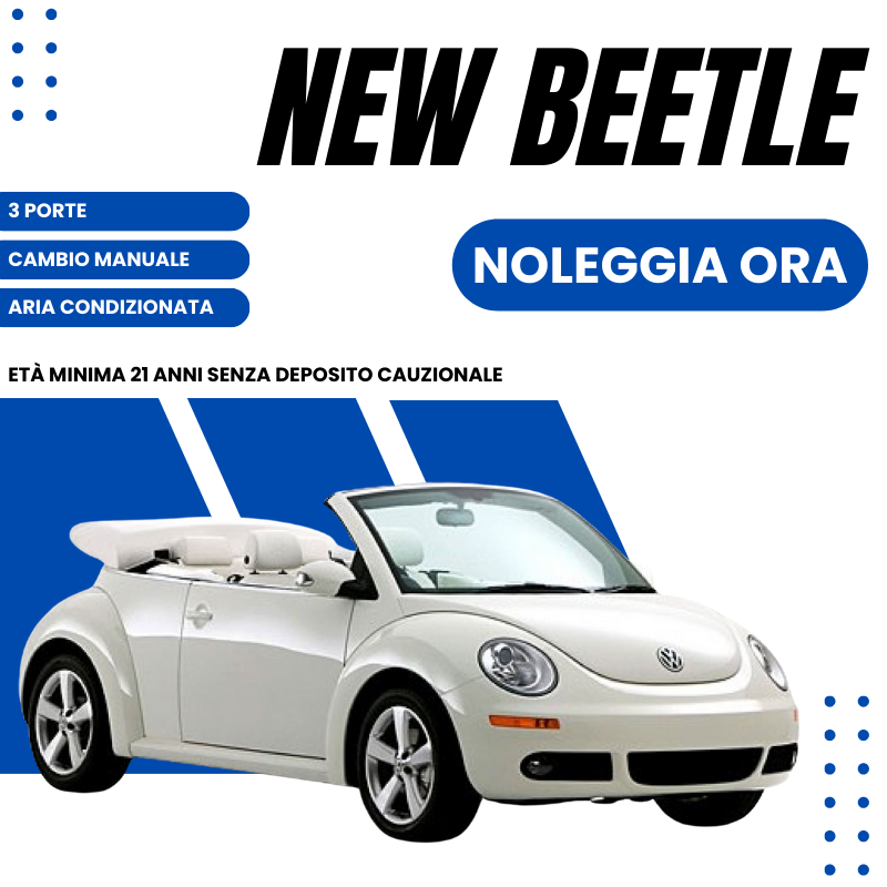 NEW BEETLE Gallery Image